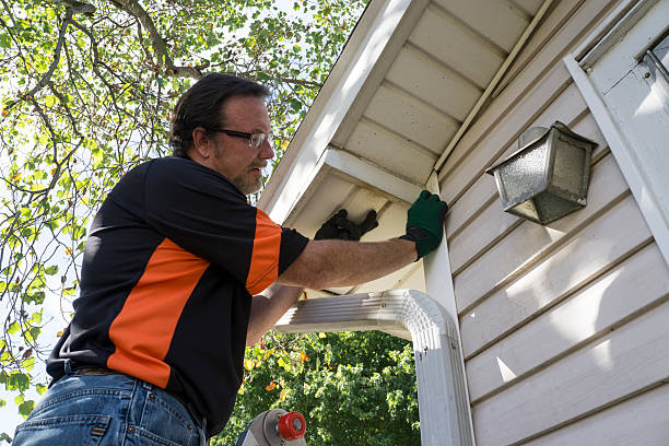 Best Storm Damage Siding Repair  in Poth, TX